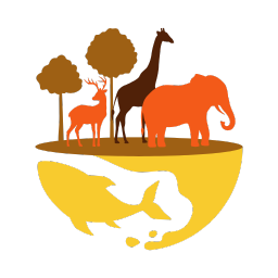 environment